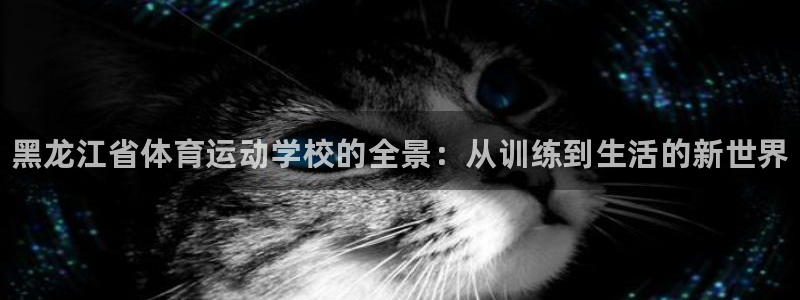 米兰体育官网下载平台：黑龙江省体育运动学校的全景：从