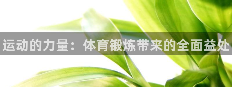 海南米兰体育官网下载：运动的力量：体育锻炼带来的全面