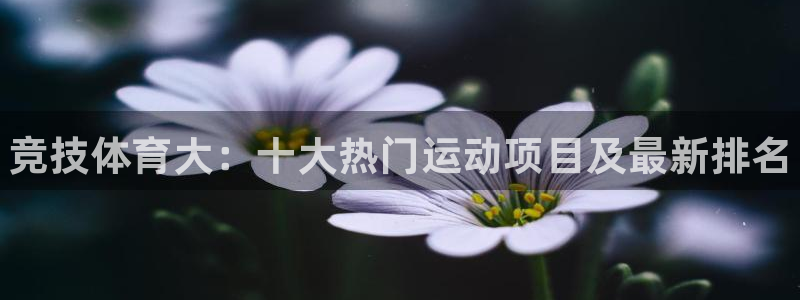米兰体育官网下载平台注册：竞技体育大：十大热门运动项目及最新
