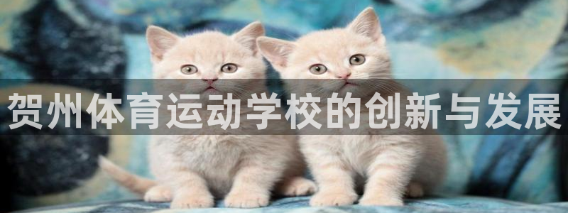 米兰体育官方正版app集团：贺州体育运动学校的创新与发展