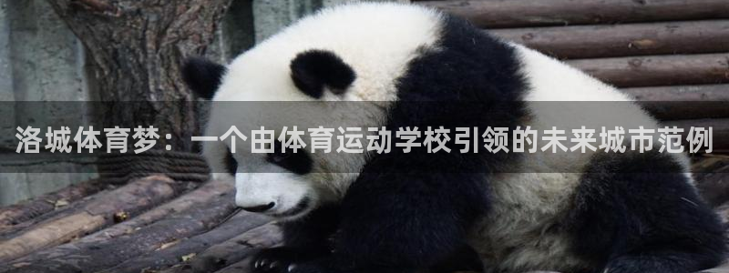 米兰体育官网下载平台注册：洛城体育梦：一个由体育运动
