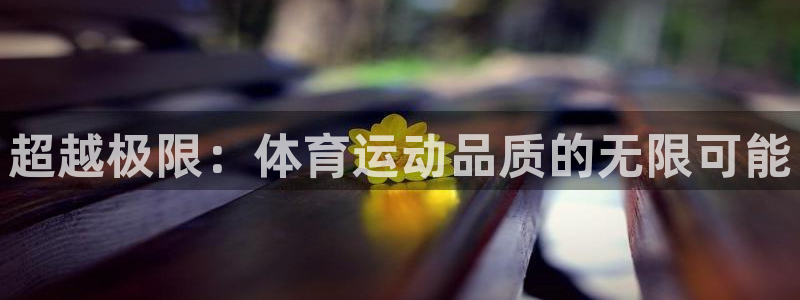 米兰体育官方正版app集团官网首页网址：超越极限：体育运动品