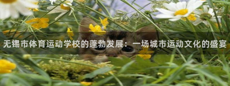 米兰体育官网下载平台假的吗是真的吗：无锡市体育运动学校的蓬勃