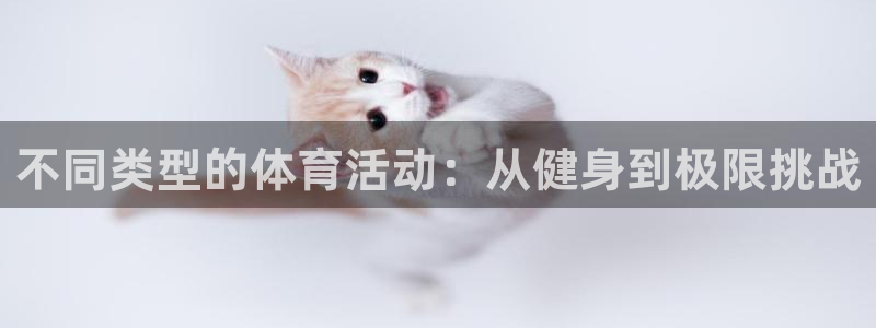 米兰体育官方正版app新能源：不同类型的体育活动：从健身到极