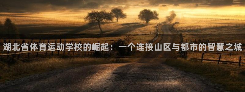 米兰体育官方正版app娱乐：湖北省体育运动学校的崛起