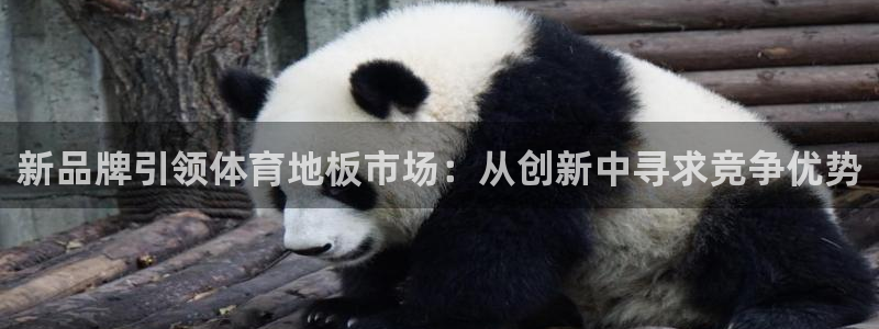 米兰体育官方正版app娱乐是那个系列的台子：新品牌引领体育地