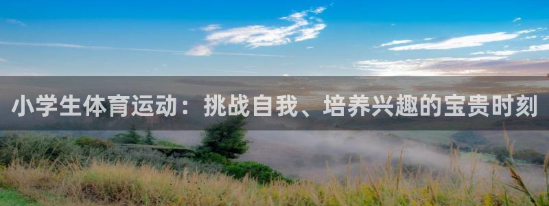 米兰体育官方正版app娱乐40996：小学生体育运动：挑战自