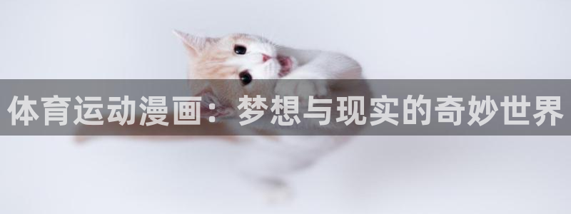 米兰体育官方正版app集团logo：体育运动漫画：梦