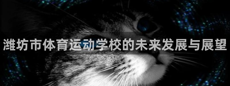 注册米兰体育官方正版app：潍坊市体育运动学校的未来发展与展