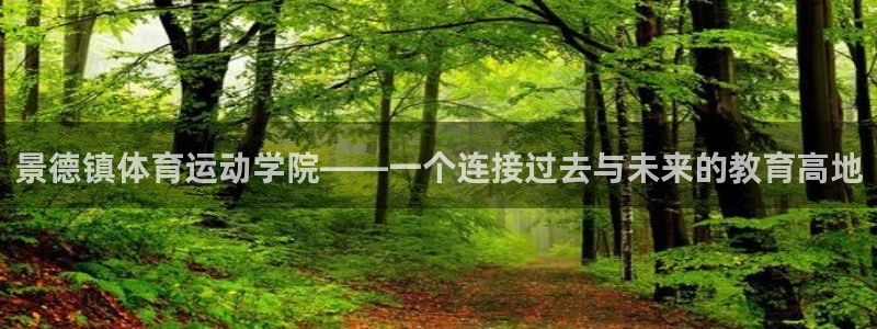 米兰体育官方正版app官方：景德镇体育运动学院——一