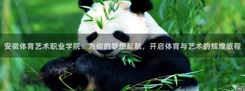 米兰体育官网下载平台是正规平台吗安全吗：安徽体育艺术